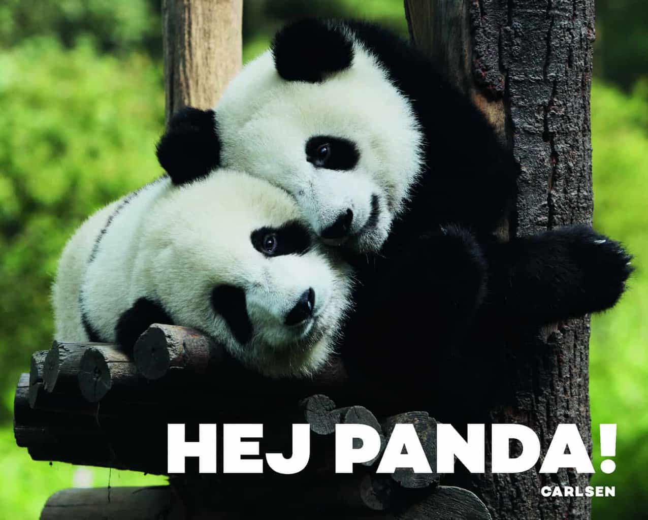 Hej Panda! Farverig papbog med søde pandaer - Tilbud!